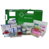First Aid Kit Work Place 1-15 Person in Large Plastic Green Wall Mountable Box